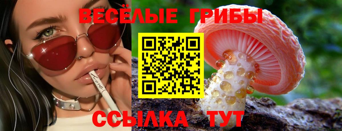 Псилоцибиновые грибы Psilocybine cubensis Полевской