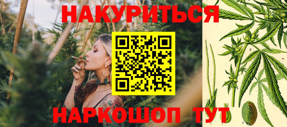 Бошки Шишки планчик Полевской